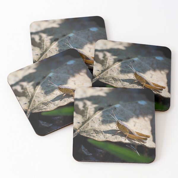 Item preview, Grasshopper day designed and sold by Jouko Lehto Photography.
