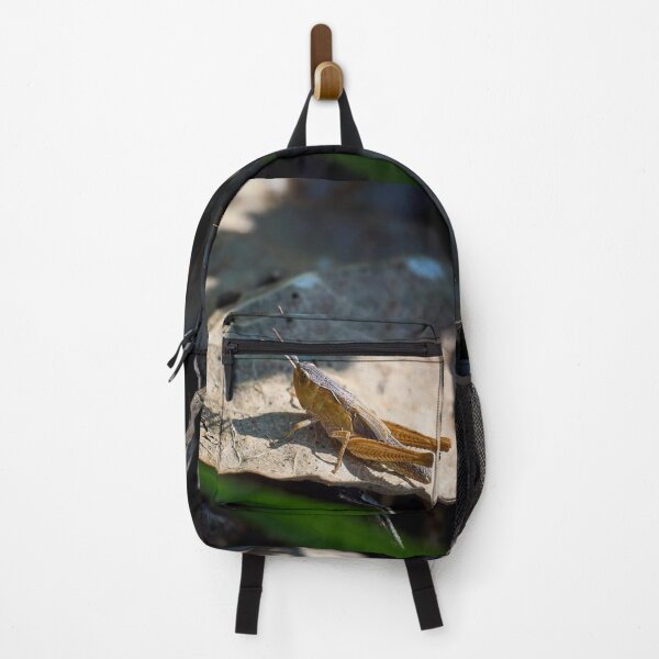 Item preview, Grasshopper day designed and sold by Jouko Lehto Photography.