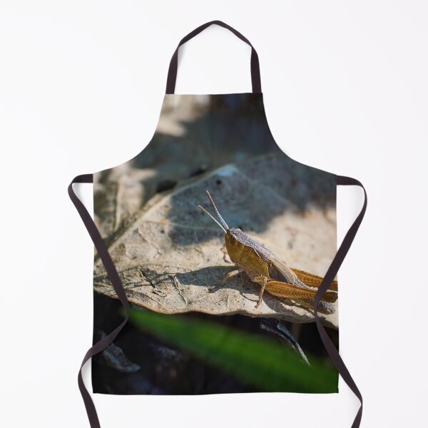 Item preview, Grasshopper day designed and sold by Jouko Lehto Photography.