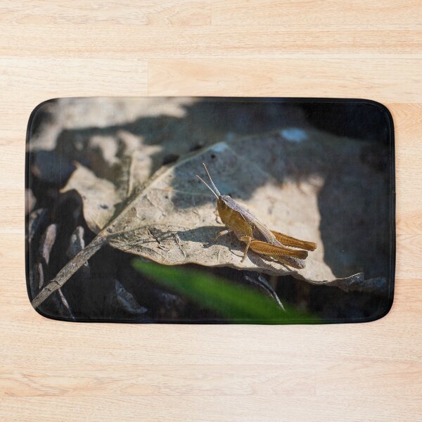 Item preview, Grasshopper day designed and sold by Jouko Lehto Photography.