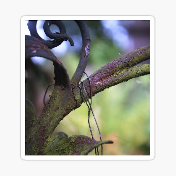 twine Sticker