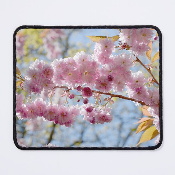Item preview, Flowering tree designed and sold by alanoix.
