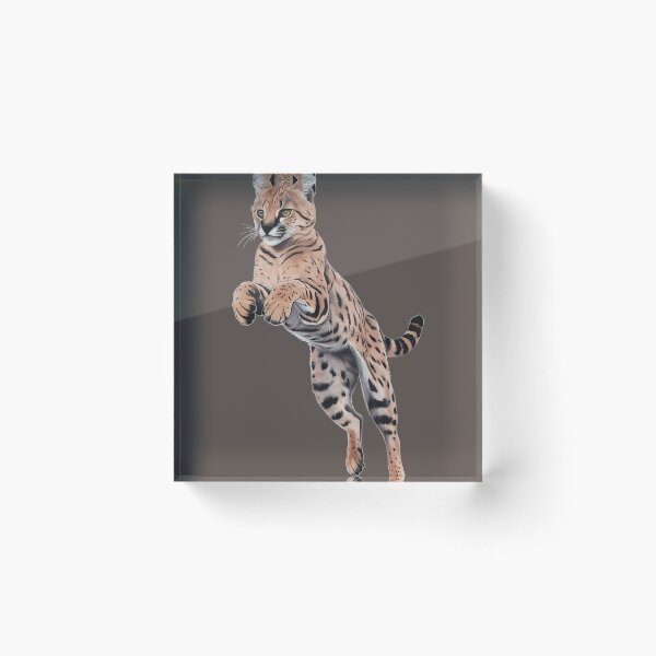 Item preview, Serval Cat designed and sold by wowwowmeow.
