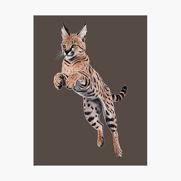 Item preview, Serval Cat designed and sold by wowwowmeow.