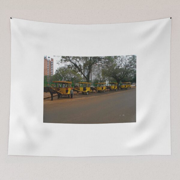 Item preview, Your Carriage Awaits -  Jesuit Mission - Paraguay - Encarnacion - South America designed and sold by exploramum.