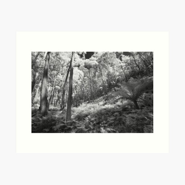 Item preview, Fern Gully designed and sold by Geoff Smith.
