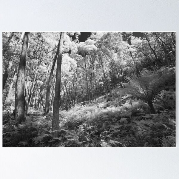 Item preview, Fern Gully designed and sold by Geoff Smith.
