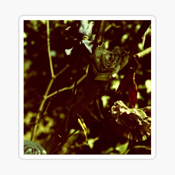 withered Sticker