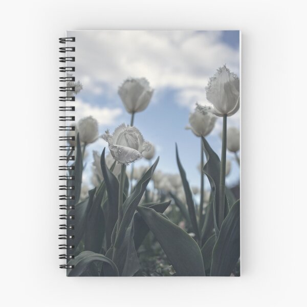Item preview, White Tulips designed and sold by yolanda.