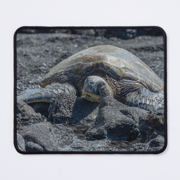 Item preview, Honu on the Beach designed and sold by SafariByMarisa.