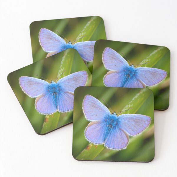 Item preview, Icarusblauwtje - Polyommatus icarus designed and sold by Tom Sillen.