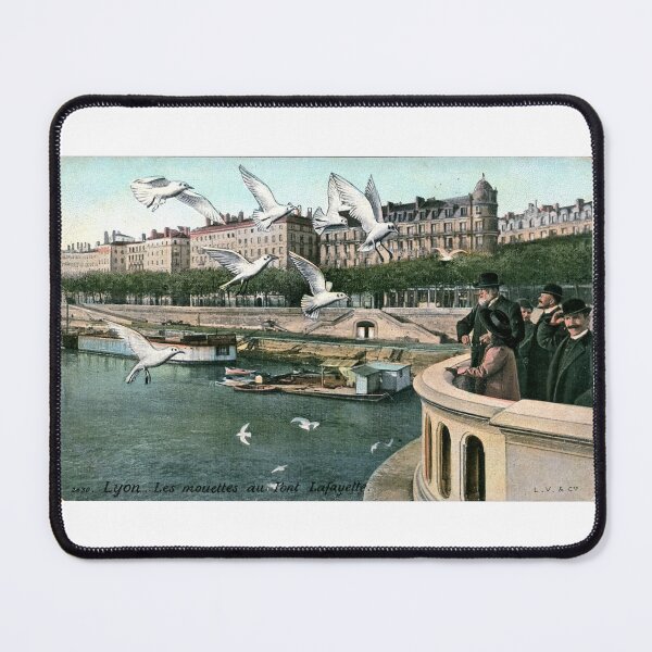 Aperçu de l'œuvre Lyon France, Les Mouettes au Pont Lafayette, 1910 inspiré du millésime créée et vendue par markomundo.