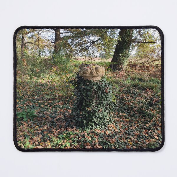 Item preview, A basket made of stone designed and sold by Gourmetkater.