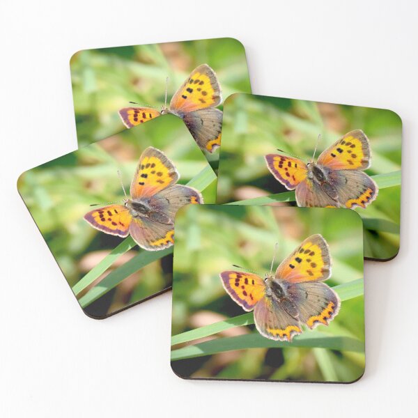 Item preview, Kleine vuurvlinder - Lycaena phlaeas designed and sold by Tom Sillen.