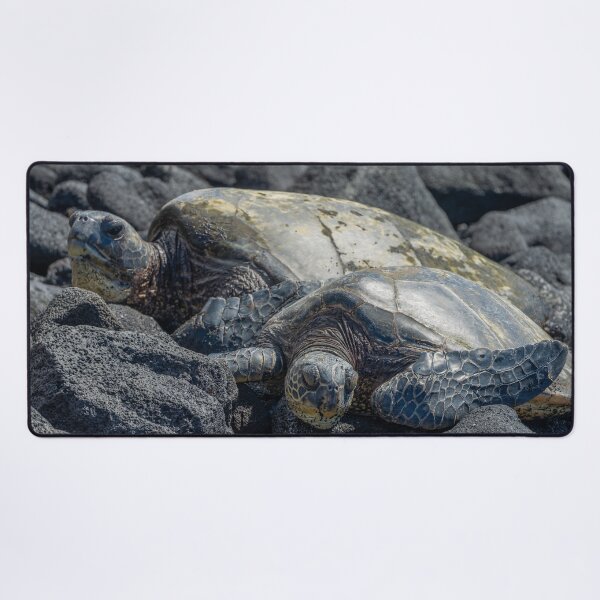 Item preview, Turtles on Black Sand Beach designed and sold by SafariByMarisa.