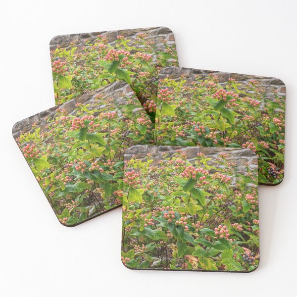 Item preview, St. John's Wort(Hypericum monogynum) designed and sold by jasminewang.