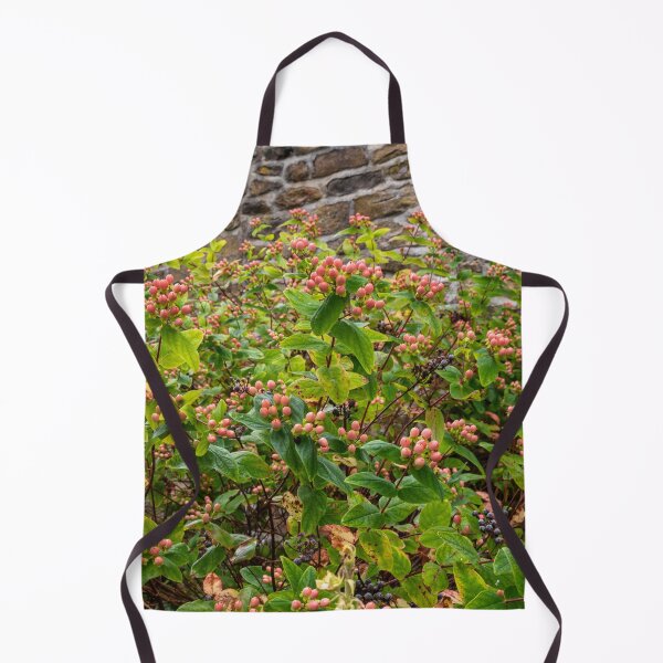 Item preview, St. John's Wort(Hypericum monogynum) designed and sold by jasminewang.