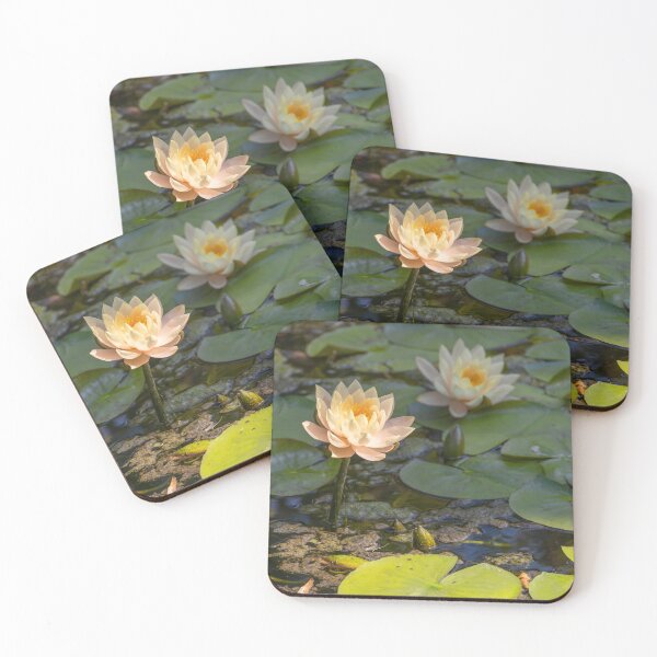 Item preview, Italy. Sicily. Palermo. Botanical Garden. Water Lilles. designed and sold by vadim19.
