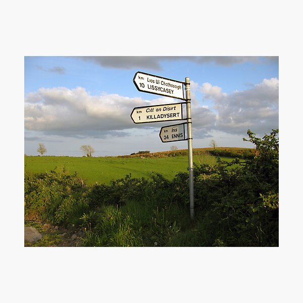 Item preview, County Clare signposts designed and sold by John Quinn.