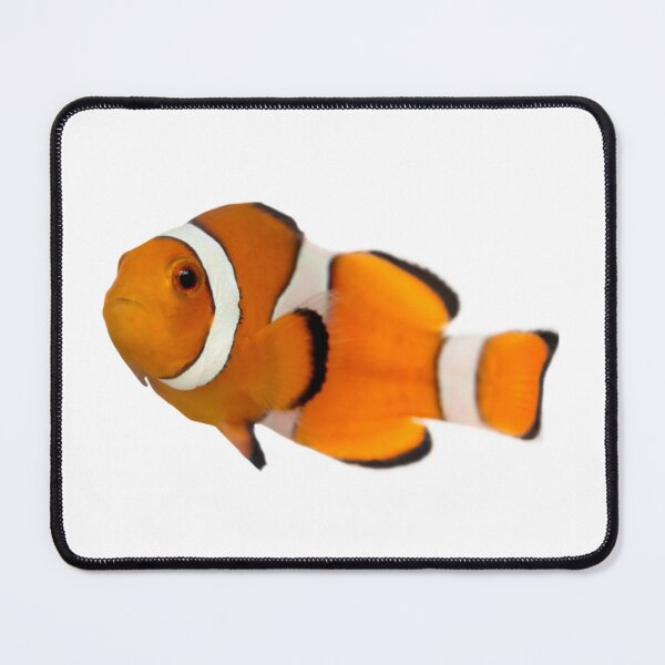 Item preview, FUNNY FISH designed and sold by New-Art23.