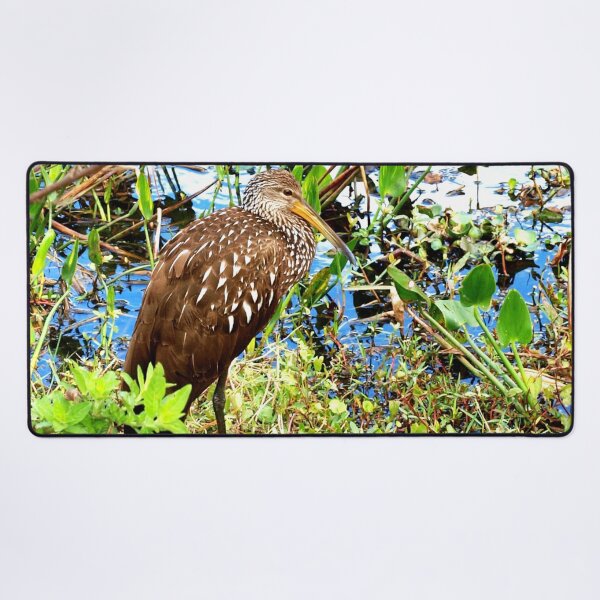 Item preview, Gorgeous limpkin designed and sold by B. Randi Bailey.