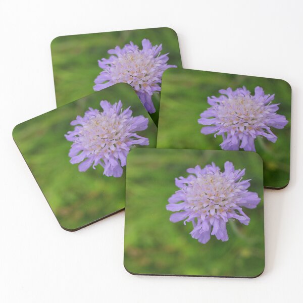 Item preview, Blue wild flower. Scabious designed and sold by CatherineMoore4.