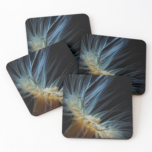 Item preview, Weduweroos designed and sold by Tom Sillen.