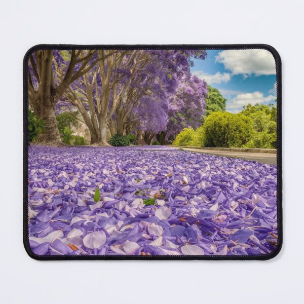 Item preview, "Jacaranda Blossom Trail" designed and sold by anahimar1418.
