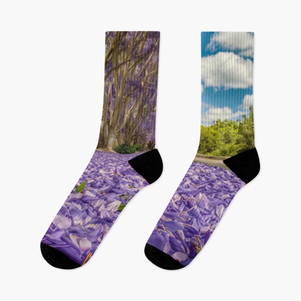 Item preview, "Jacaranda Blossom Trail" designed and sold by anahimar1418.