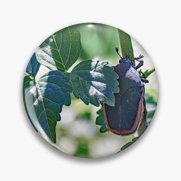 Item preview, June Beetle designed and sold by CarolM.