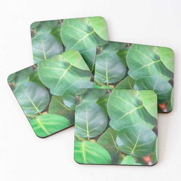 Item preview, Sea Grape Coccoloba Uvifera Abstract X1 designed and sold by RichFrancoCars.