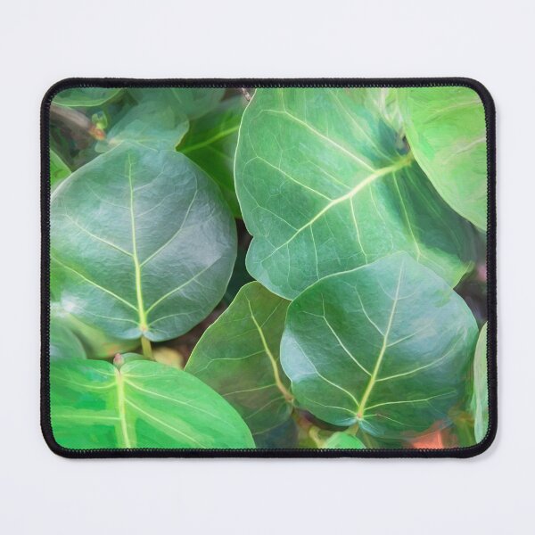 Item preview, Sea Grape Coccoloba Uvifera Abstract X1 designed and sold by RichFrancoCars.