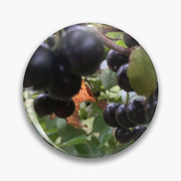 Item preview, Black currant style. designed and sold by Valgasnews011.