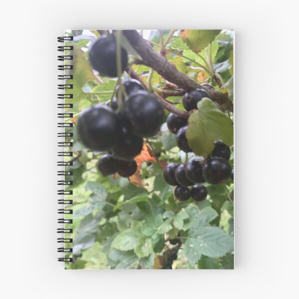 Item preview, Black currant style. designed and sold by Valgasnews011.