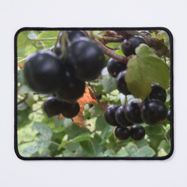 Item preview, Black currant style. designed and sold by Valgasnews011.