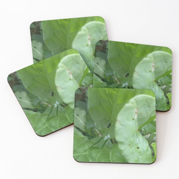 Item preview, plantain style.  designed and sold by Valgasnews011.