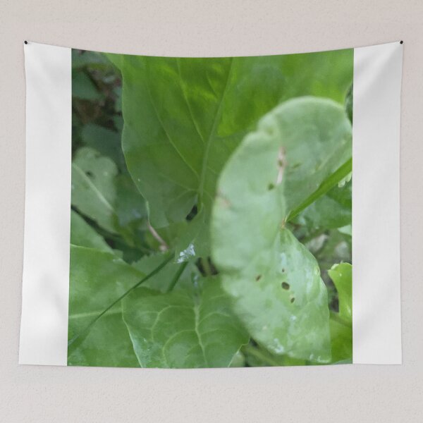 Item preview, plantain style.  designed and sold by Valgasnews011.