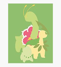 Chikorita Evolution Photographic Print