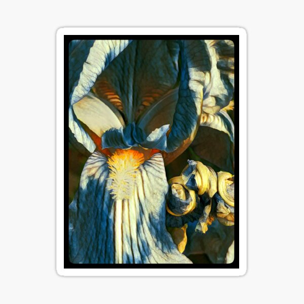 Item preview, Spring Iris  designed and sold by Scopic.