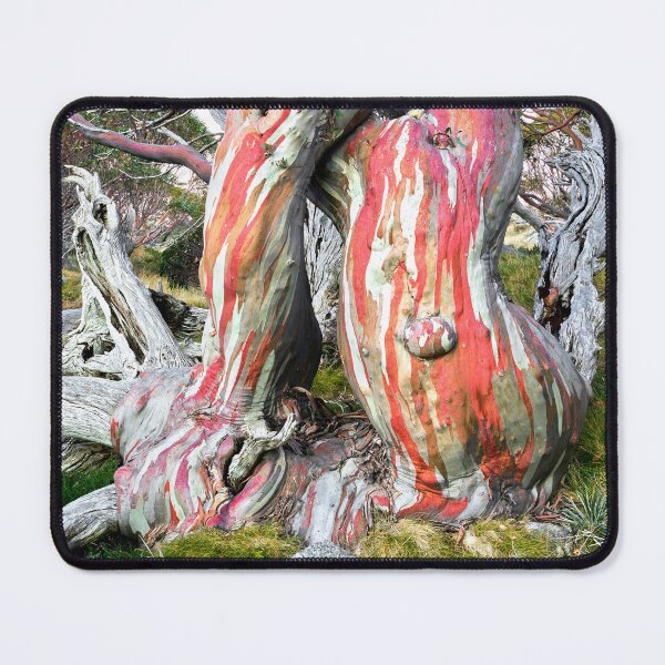 Item preview, Snow Gum Kosciuszko National Park - Snowy Mountains - NSW designed and sold by Adam Gormley.