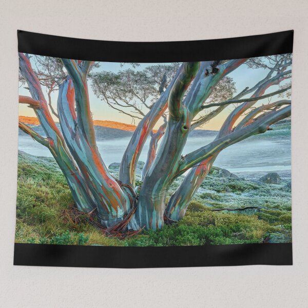 Item preview, Snow Gum Kosciuszko National Park - Snowy Mountains Sunrise designed and sold by Adam Gormley.