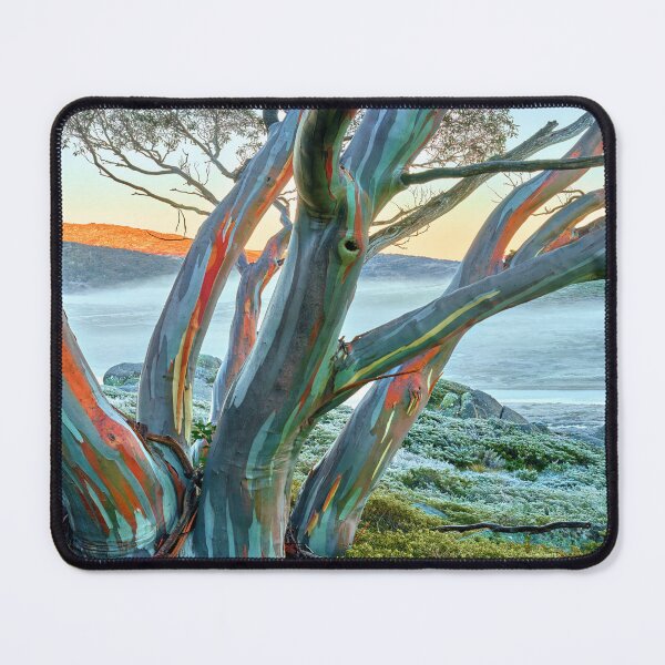 Item preview, Snow Gum Kosciuszko National Park - Snowy Mountains Sunrise designed and sold by Adam Gormley.