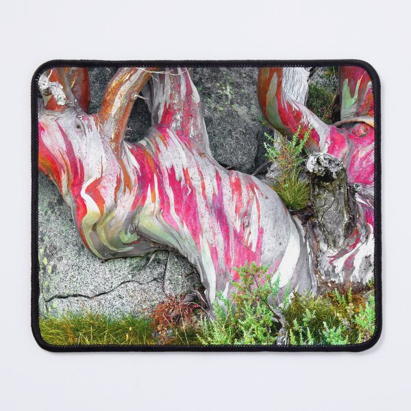 Item preview, Snow Gum Kosciuszko National Park - Charlotte Pass Red designed and sold by Adam Gormley.