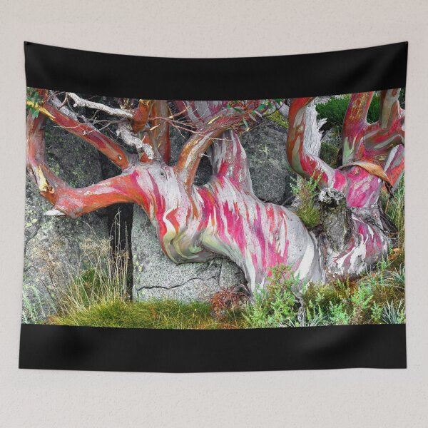 Item preview, Snow Gum Kosciuszko National Park - Charlotte Pass Red designed and sold by Adam Gormley.