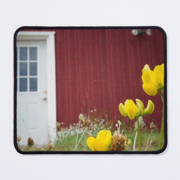 Item preview, White Door on Red Building designed and sold by Nalinne Jones.