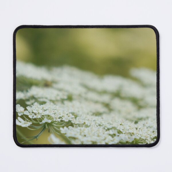 Item preview, Queen Anne's Lace Macro designed and sold by Nalinne Jones.