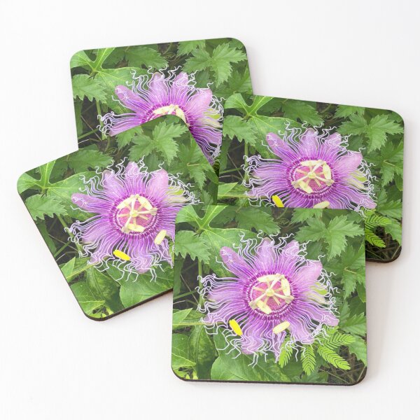Item preview, Passiflora “Incense” - Passiflora incarnata × cincinnata designed and sold by scarpacific.