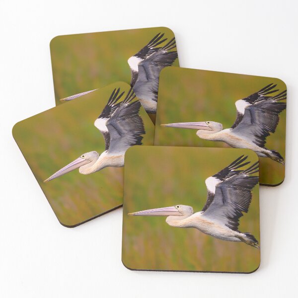 Item preview, Australian Pelican in Flight designed and sold by Jan Fijolek.