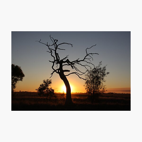 Item preview, Its another tequila sunset. designed and sold by Paul  Francis.