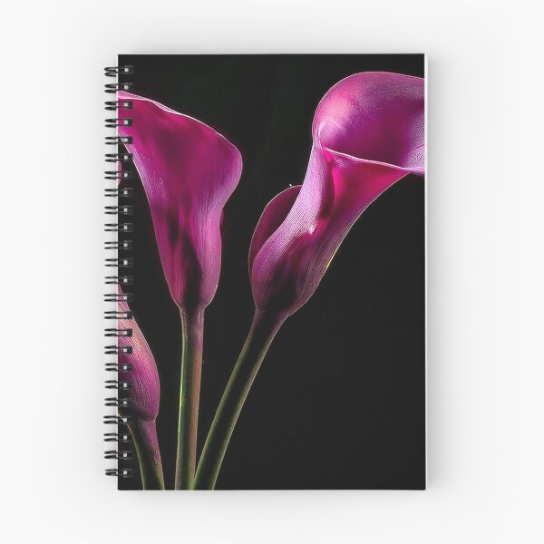 Item preview, Pink calla lilies designed and sold by andreisky.